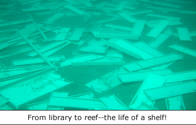 Library Artificial Reef