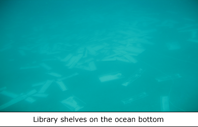 Library Artificial Reef